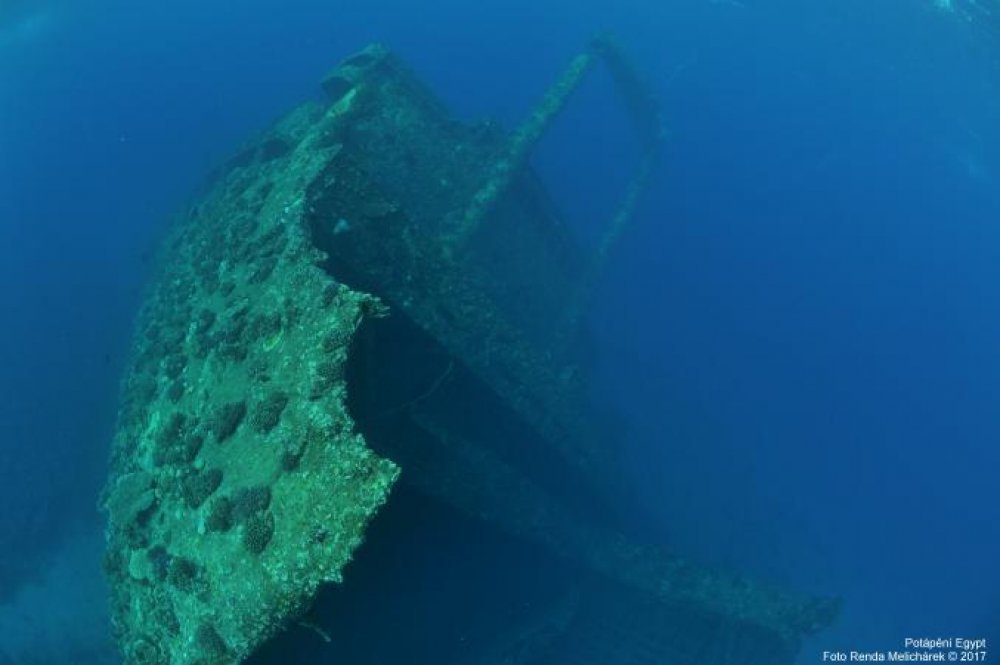 v-2293